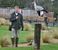 Hawk Conservancy