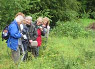 Outing to Homefield Wood